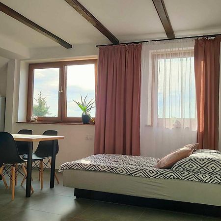 Apartamenty U Anety Wilkasy Εξωτερικό φωτογραφία